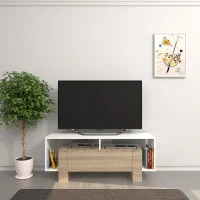 Homemania Mobile TV Melville W120xD33,2xH47,5 cm Bianco, Sonoma(m-1)