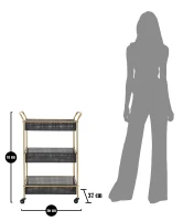 Carrello Fashion Cm 56X37X81(m-3)