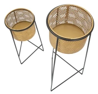 Vasi Coppia Exy Cm Ø 37X76-27X51(m-2)