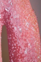 Stampa Su Tela Con Applicazioni -A- Flamingo Cm 80X3.8X120(m-4)