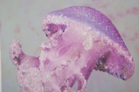 Stampa Su Tela Con Applicazioni Medusa -A- Cm 80X3.8X120(m-2)