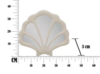 Specchio Conchiglia Cm 40.5X2.3X37.3(m-8)