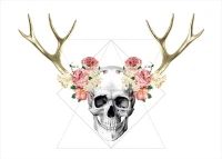 Homemania Quadro Edizione Limitata W67xD2xH100 cm Multicolore(m-1)