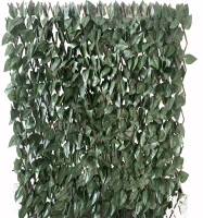 Biacchi Estensibile in salice con foglie lauro H. 100  L. 200 cm(m-1)