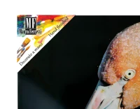 Stampa Su Tela Con Applicazioni -B- Flamingo Cm  120X3.8X80(m-6)