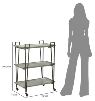 Carrello Industry Cm 80X46X100.5(m-10)