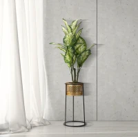 Vasi Simply Cm Ø 25X50(m-7)