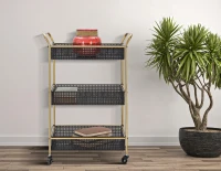 Carrello Fashion Cm 56X37X81(m-2)