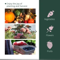 Outsunny Tunnel Greenhouse Green Grow House for Garden Outdoor, Steel Frame, PVC Cover, Transparent, 250 x 100 x 80cm(m-5)