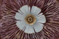 Pannello In Ferro Bunga Cm 73,5X11X72(m-2)