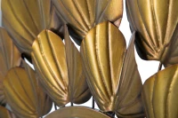 Specchio Goldy Cm Ø 78.5X5(m-7)