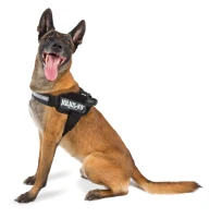 Julius K9 Power Pettorina, Misura 0, Colore Nero(m-1)