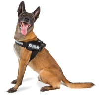 Julius K9 Power Pettorina, Misura 1, Colore Nero(m-1)