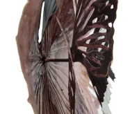 Pannello In Ferro Bunga Cm 73,5X11X72(m-5)