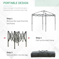 Outsunny Portable Walk in Pop-up Greenhouse Outdoor for Plants Garden Foldable with Carrying Bag , PE Cover, Steel Frame, Green, 2.4L x 1.8W x 2.4H m(m-7)