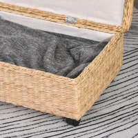 HOMCOM Coffre Boîte de Rangement avec Couvercle Design Simple et Moderne Idéal pour Salon Chambre Stockage Chaussures Vêtements Jouets pour Enfants 76 x 40 x 24 cm(m-8)