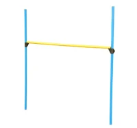 PawHut Set di Addestramento per Cani con Anello Recinto Pali Giochi(m-3)