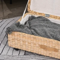 HOMCOM Coffre Boîte de Rangement avec Couvercle Design Simple et Moderne Idéal pour Salon Chambre Stockage Chaussures Vêtements Jouets pour Enfants 76 x 40 x 24 cm(m-7)