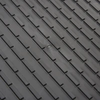 PawHut Rampa Pieghevole e Antiscivolo Auto per Cani fino a 100kg Nera(m-9)