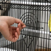 PawHut Gabbia per Uccelli in Metallo e Plastica con Maniglia di Trasporto e Vassoio Estraibile, 51x40x67cm(m-9)