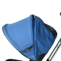 HOMCOM® Kinderdreirad mit Dach Lenkstange Kinderwagen Schieber Blau(m-12)