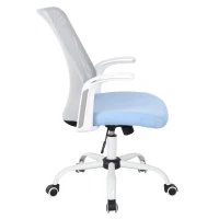 Vinsetto® Höhenverstellbarer Büro und Computerstuhl | Drehstuhl | Kunststoff | 63 x 61 x 93–101 cm | Blau(m-4)