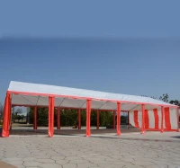 Vereinszelt Pavillon Carport Festzelt Partyzelt Gartenzelt Bierzelt XXL 12x6 m(m-5)