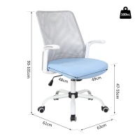 Vinsetto® Höhenverstellbarer Büro und Computerstuhl | Drehstuhl | Kunststoff | 63 x 61 x 93–101 cm | Blau(m-2)