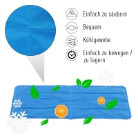 PawHut® Kühlmatte Haustiermatte Eis-Pad Blau(m-6)