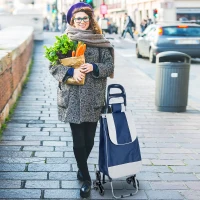 HOMCOM® Einkaufstrolley Einkaufsroller klappbar mit Treppensteiger Blau(m-1)