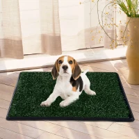 PawHut® Welpentoilette Hundetoilette Welpenklo Grün 64x51cm(m-1)