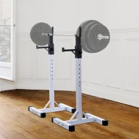 HOMCOM® Hantelständer Langhantelablage Hantelablage Langhantel Kraftt Rack Fitness 150kg(m-2)