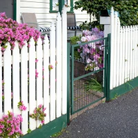 HOMCOM furtka ogrodowa furtka ogrodzeniowa bramka na podwórko stalowa z klamką zamek i klucze 97 x 170 cm kolor zielony(m-2)