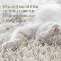 PawHut Panier chat lit chat cosy grand confort dim. Ø 56 x 35H cm coussin moelleux inclus PVC imitation rotin beige(m-7)