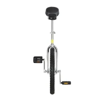 HOMCOM Velo 1 roue cirque jonglage monocycle artiste 20 pouces mono roue argent-noir(m-8)