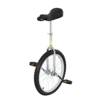HOMCOM Velo 1 roue cirque jonglage monocycle artiste 20 pouces mono roue argent-noir(m-1)