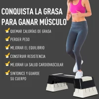 Tabla de Step para Fitness Aeróbic Deporte y Gimnasia - Color Negro y Gris - Plástico - 76x29x12.5-22.5cm(m-4)