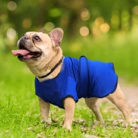 Pawhut Dog Pet Summer Cooling Cool Coat Vest Jacket Cooler Breathable Anti-bacterial Dark Blue , S , 40cm long(m-2)