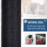 PawHut Cat Tree with Condo, Sisal Scratching Post and Washable Mat Black(m-5)