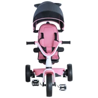 HOMCOM 4 in 1 Kinderdreirad Dreirad Kinder Fahrrad Rad Schubstange Sonnendach Sicherheitsgurt ab 18 Monate Rosa(m-7)