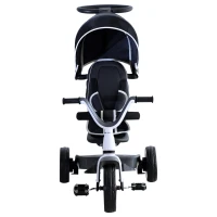 HOMCOM 4 in 1 Kinderdreirad Dreirad Kinder Fahrrad Rad Schubstange Sonnendach Sicherheitsgurt ab 18 Monate dunkelgrau(m-7)