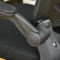 Vinsetto Mesh Office Chair for Home Swivel Task Desk Chair with Lumbar Back Support, Flip-Up Arm, Adjustable Height, Black(m-11)