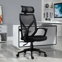 Vinsetto High Back Home Mesh Office Chair Swivel Reclining w/ Lumbar Support Height Adjustable Free Moving Suitable For Working Relaxing Black(m-13)