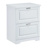 HOMCOM Modern Filing Cabinet with 2 Drawers, Handle, Printer Table, Vertical File Cabinets, for Home, Office, White(m-1)