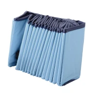 PawHut Piscina pentru caini, pliabila, 160x30 cm, albastru(m-9)
