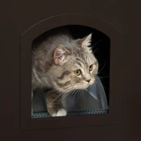 PawHut Casa para Gatos de Madeira Móvel para Caixa de Areia para Gatos 2 em 1 com Armário de Armazenamento Bancada Ampla Porta e 3 Janelas Cruzadas 48,7x53,3x53 cm Marrom(m-7)