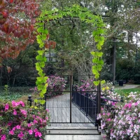 Outsunny Garden Outdoor Entrance Arch with Door Outdoor Patio Decoration for Rose Trellis Arbour Climbing Plant 131L x 49W x 200Hcm(m-10)