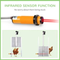 PawHut Usa automata pentru cotetul de gaini cu temporizator, senzor de lumina, senzor infrarosu(m-6)