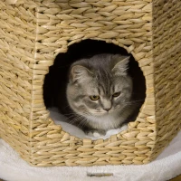 PawHut Árbol Rascador para Gatos Torre para Gatos con Cama Cueva Poste de Sisal y Bolas Colgantes 50x50x119 cm Natural(m-7)