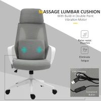 Vinsetto Mesh Massage Office Chair w/Pillow&Headrest Adjustable Height High Back Rocking Armrest Home Office Grey(m-4)